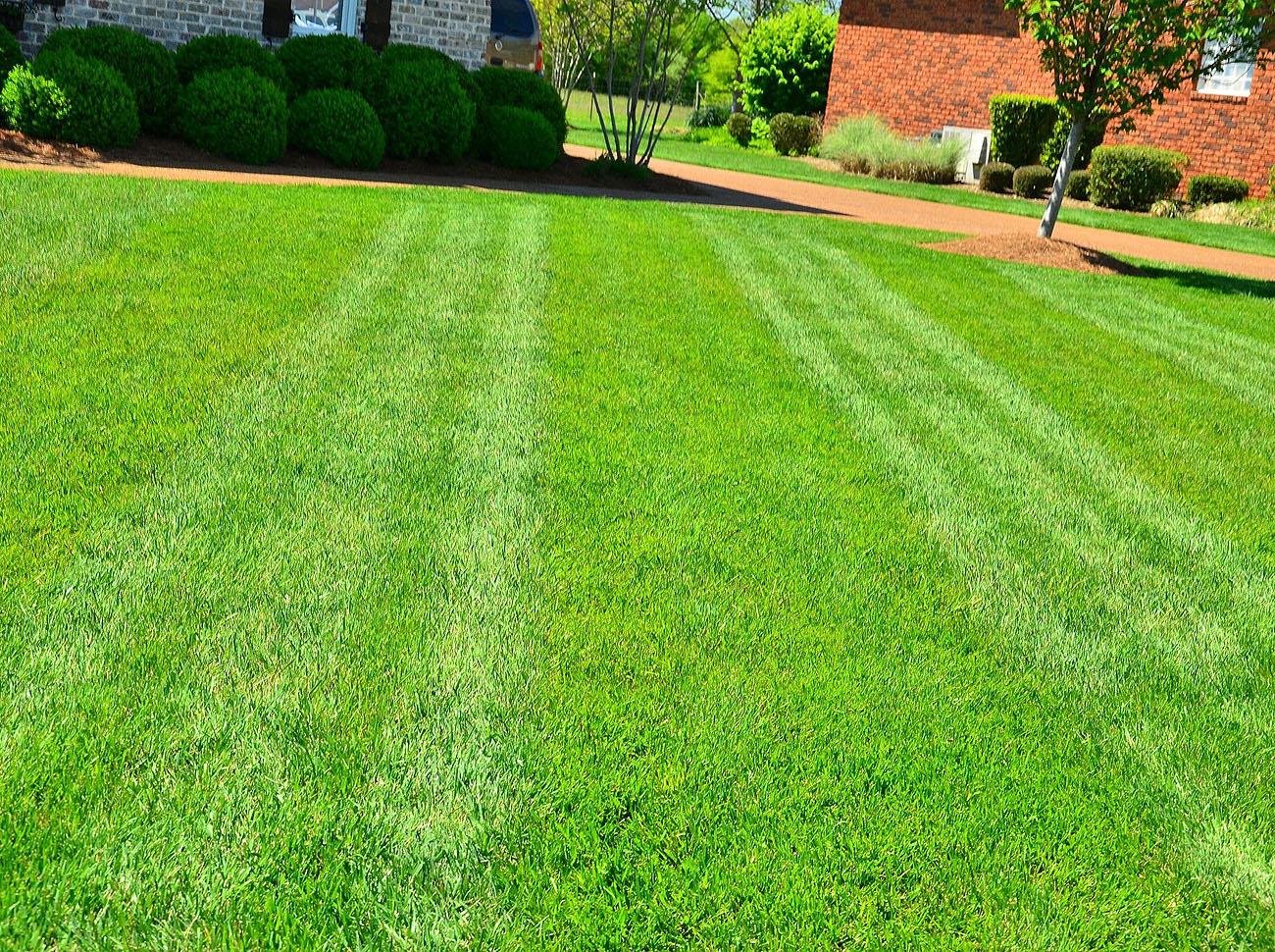 Grass cutting and lawn mowing services for residential and commercial properties in buckinghamshire, bedfordshire and hertfordshire including pest control, hedge cutting, tree maintenance and wild flower planting