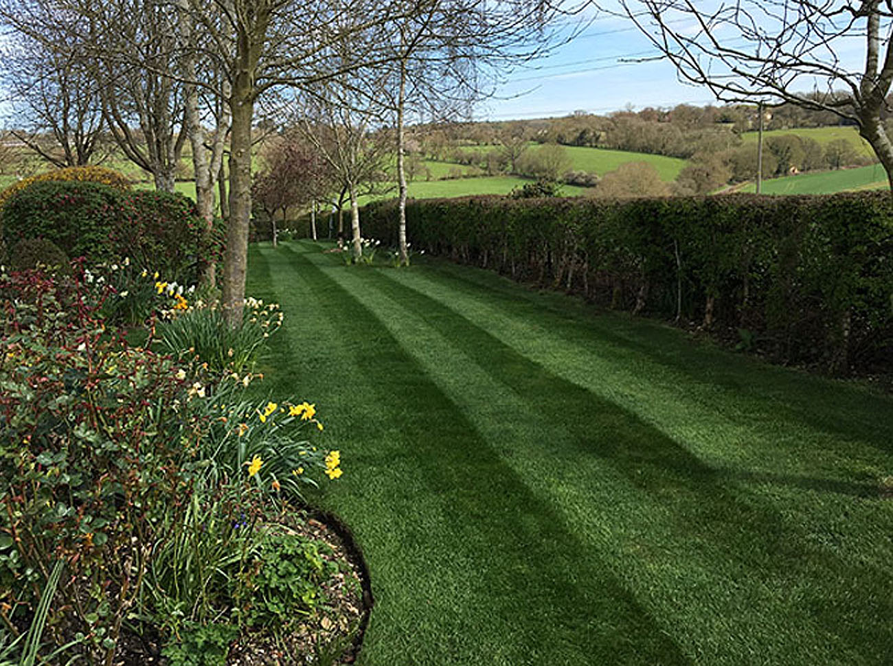 Grass cutting and lawn mowing services for residential and commercial properties in buckinghamshire, bedfordshire and hertfordshire including pest control, hedge cutting, tree maintenance and wild flower planting