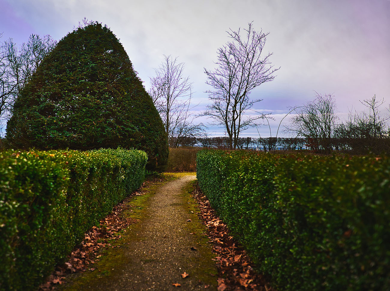 Hedge cutting we identify a cutting schedule for all hedges and follow it closely throughout the year. If a hedge is left for too long without cutting it will outgrow its shape and thereafter be very difficult to restore. We will replace any dead hedging when necessary.